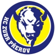 HC Zubr Perov